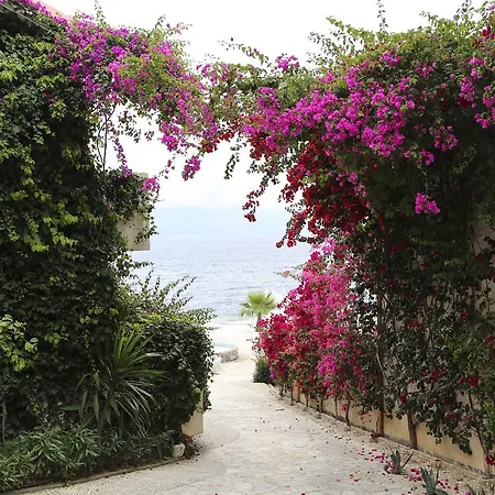 Bellavista Bougainville Bay *