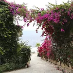 Bellavista Bougainville Bay *