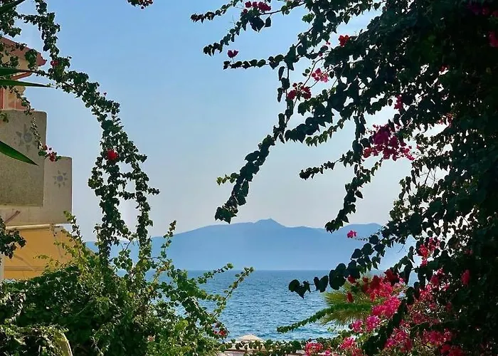 布干维尔湾贝拉维斯塔公寓 * Sarandë