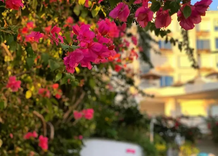 布干维尔湾贝拉维斯塔公寓 公寓 Sarandë